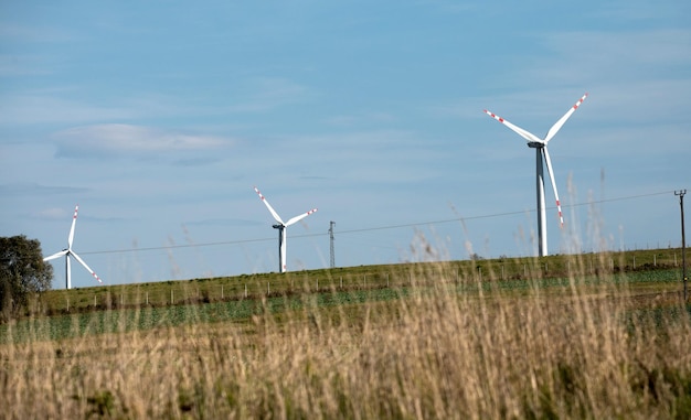 Ветряные турбины на зеленых холмах Группа ветряных мельниц для производства электроэнергии в зелени