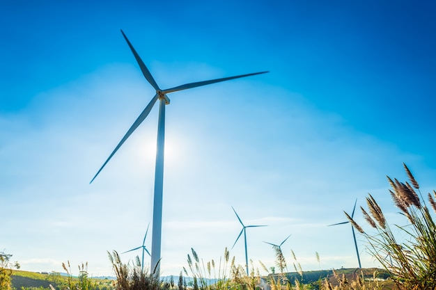 Turbine eoliche sulla collina nel parco khao kho, thailandia. energia pulita, energia ecologica, energia verde.