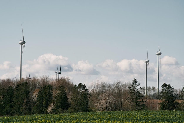 Wind turbines landscape Green energy concept Panoramic view of a wind park with high wind turbines for generation of electricity with copy space