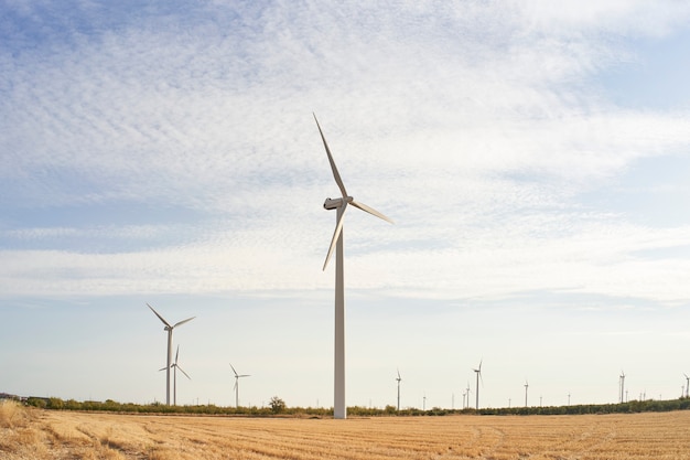 Turbine eoliche. paesaggio all'alba con mulini a vento. fonte di elettricità rinnovabile. concetto di energia e tecnologia pulita.