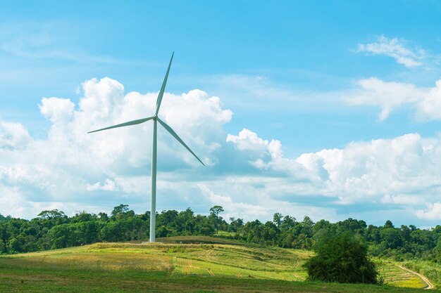 Wind turbines in the meadow