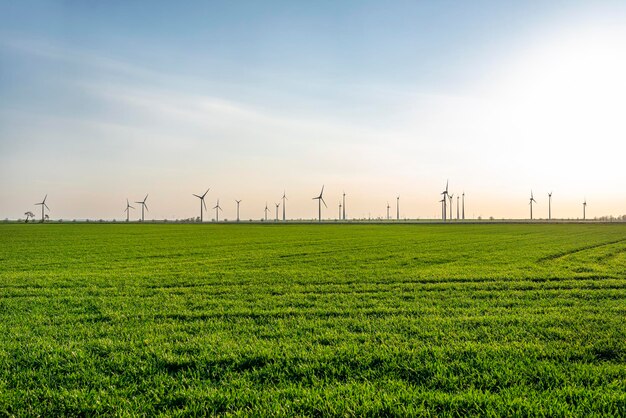 Wind turbines for the production of electricity from wind in a field in western germany