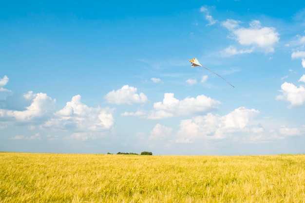 Wind vliegeren in de blauwe zomerlucht