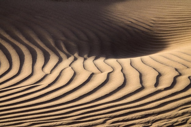 Wind waait over zandduinen