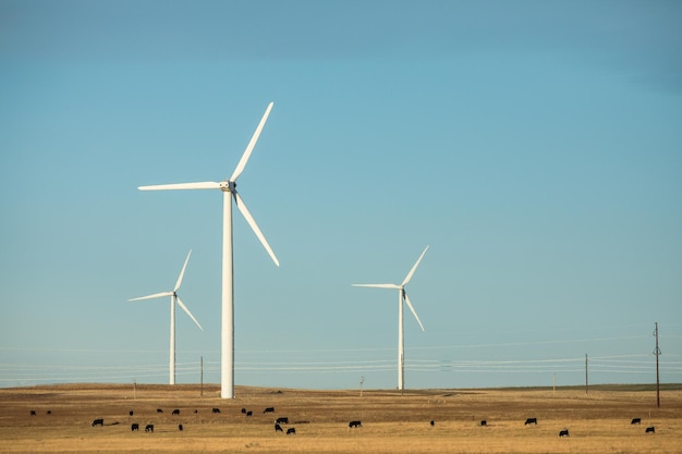 Windfarm near Pawnee Buttes and Grover, Colorado.