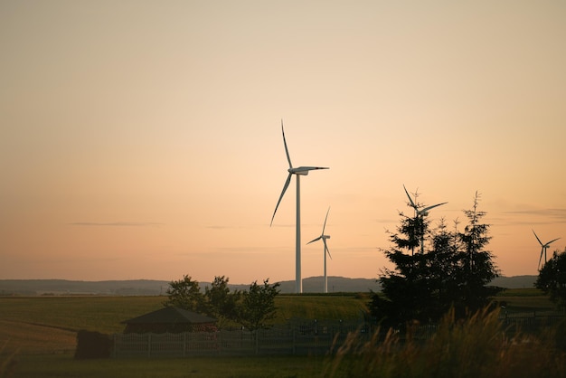 Windfarm in the rural area of Gdansk Poland Concept of the renewable energy development in the Europe