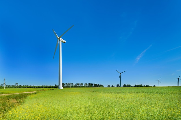 Windgenerator in de weilanden op een achtergrond van blauwe lucht