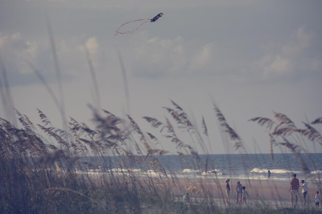 Foto windgevaagde planten tegen de zee