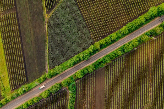 フィールドの曲がりくねった田舎道アスファルト道路で有名なフィールドの空中写真人生の風景カラフルな農業フィールドの風景