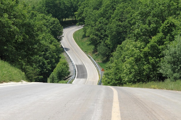 Winding country road through the trees