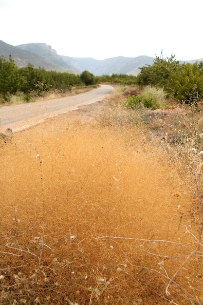 Winding mountain road in countryside