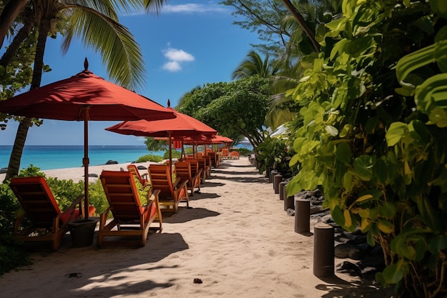 Winding Path Through Beach