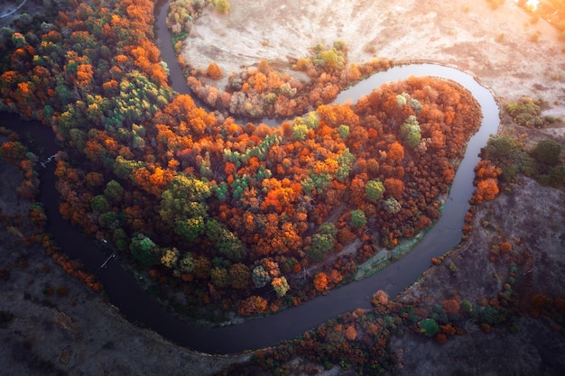 Winding river, floodplain, dry grass and autumn forest at dawn.