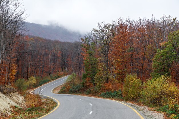 Strada tortuosa nella foresta di montagna autunnale