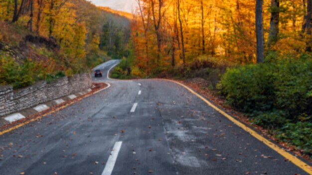 Winding road in the colorful autumn mountain forest