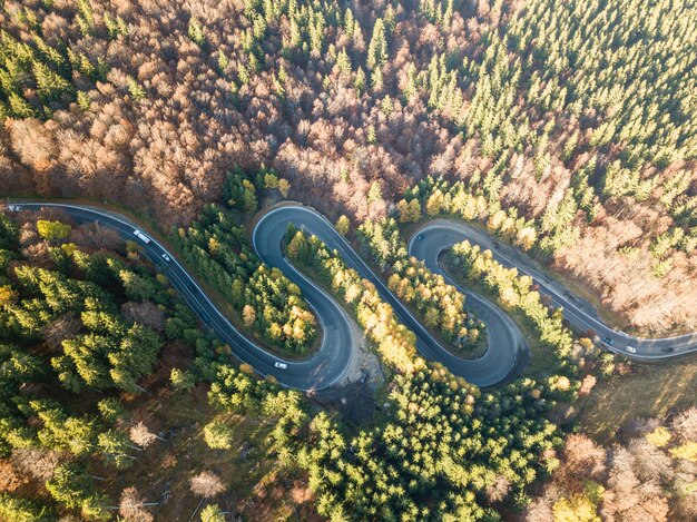 写真 緑の森の空から眺める夏の高山のパスからの曲がりくねった道路