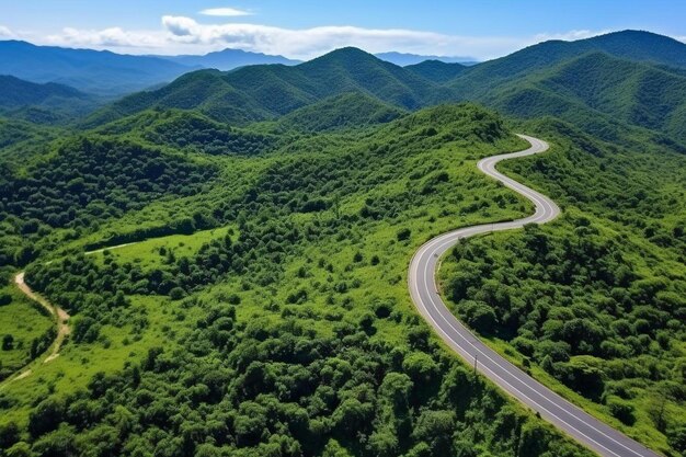 Photo a winding road is surrounded by green trees and a winding road