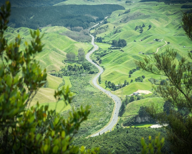 Strada tortuosa che conduce attraverso verdi colline incorniciate da fogliame