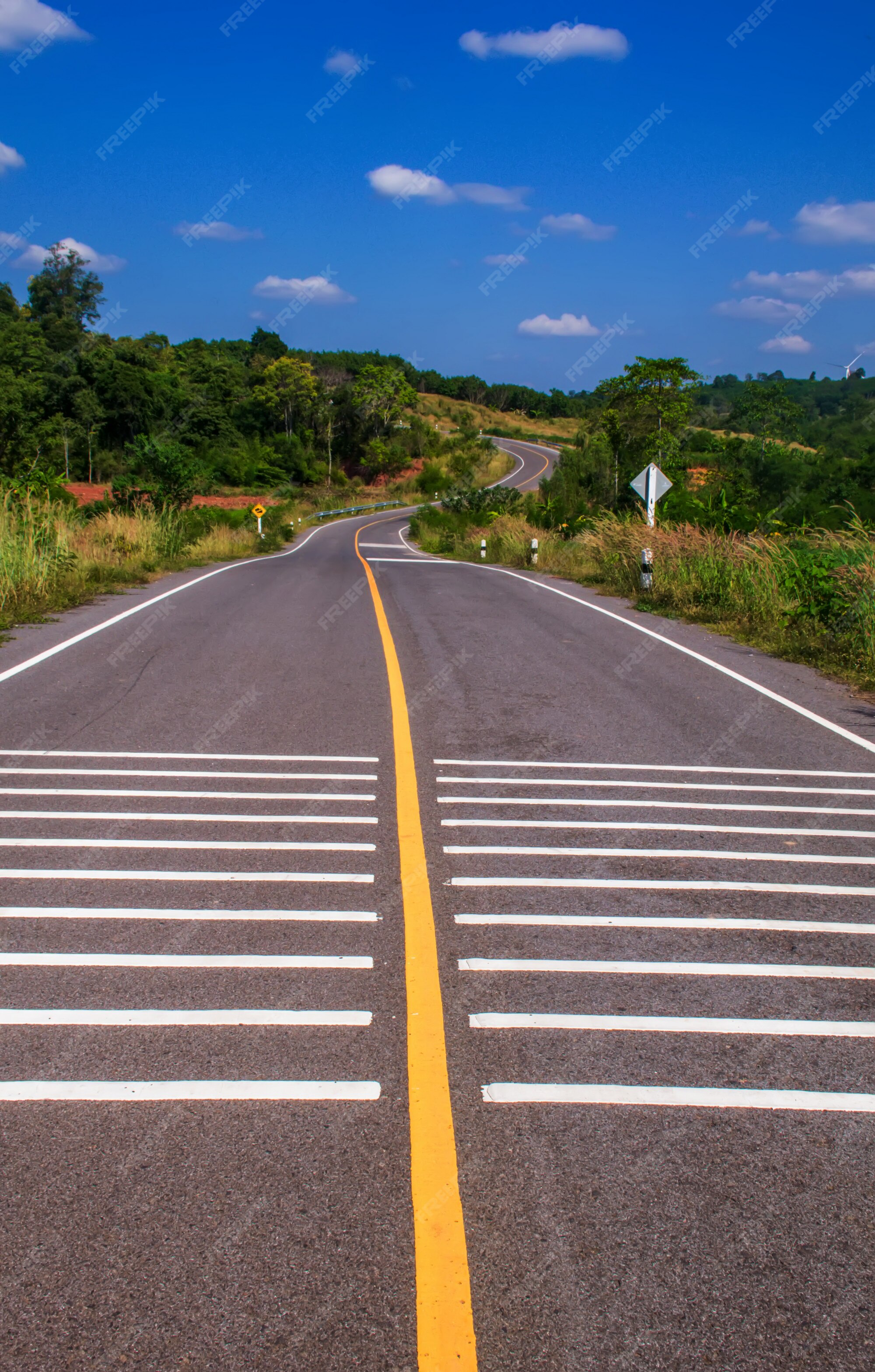 Premium Photo | Winding road through a forest leading into a tunnel  .mountain road with a tunnel of  road in countryside