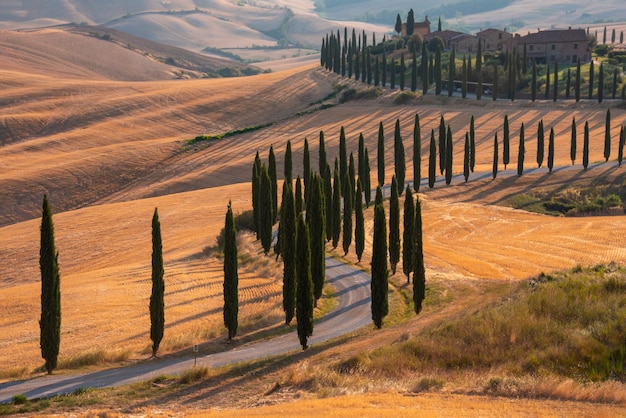 Winding road in Tuscany Italy in summer Famous landmark countryside and tourism destination