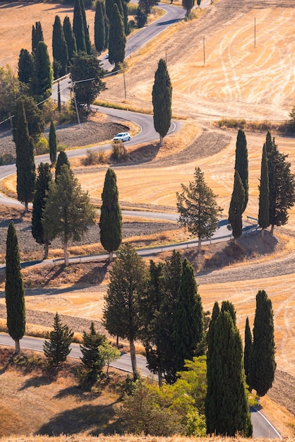 Winding road in Tuscany Italy in summer Famous landmark countryside and tourism destination