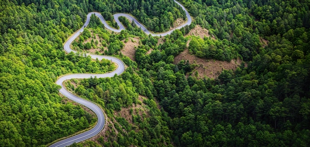 Winding road in the woods top view banner Generative AI