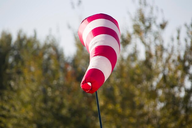 Windkegel op de achtergrond van het bos