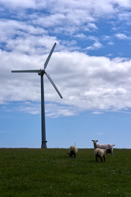 Photo windmill on a field