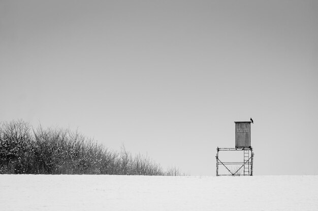 写真 晴れた空に照らされた雪の田んぼの風車