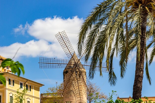 Photo windmill in palma on balearic island mallorca spain on a sunny day with palm trees in front