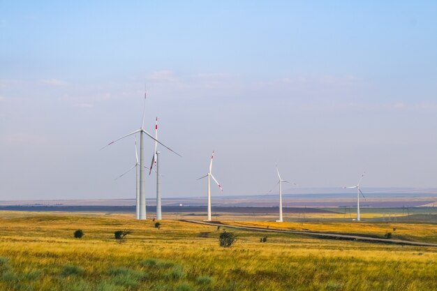 Windmill park, huge windmill generator turbines. Alternative energy.