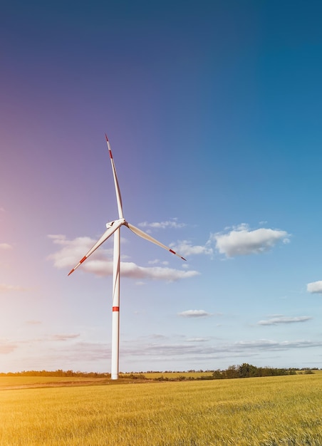 雲と青空のある風車公園 ウクライナの風力タービンのある自然の景色 グリーン エネルギーと持続可能な未来