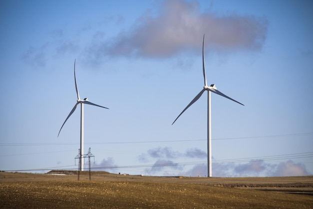 A windmill that generates electricity