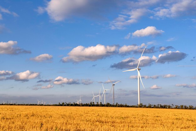 Windmills against a blue sky and a yellow field Alternative energy sources