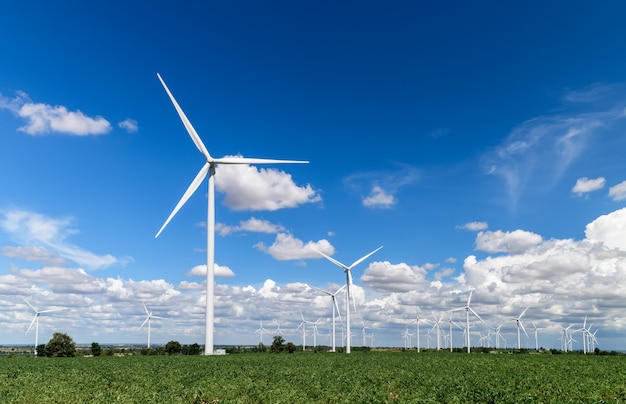 Windmills for electric power production in  Cassava field on blue sky