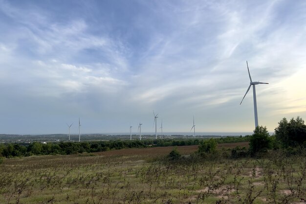 Foto mulini a vento per la produzione di energia elettrica in vietnam fattoria di turbine eoliche fattoria di mulini a vento che produce energia verde su sfondo naturale paesaggio di tecnologia di concetto di energia rinnovabile