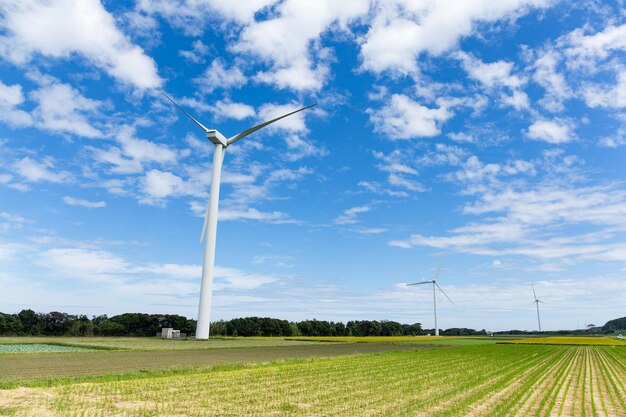 Windmills for electric power production