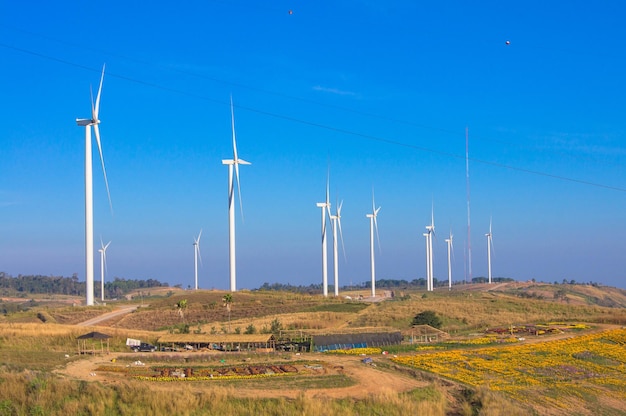 Windmills on field against blue sky