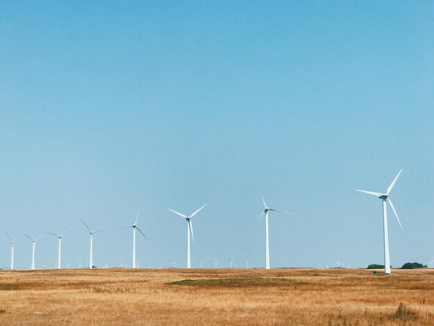 Windmills on field against clear blue sky