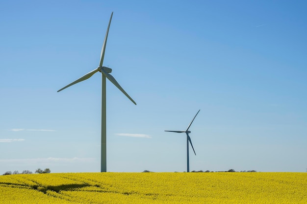 Windmills on field against clear sky