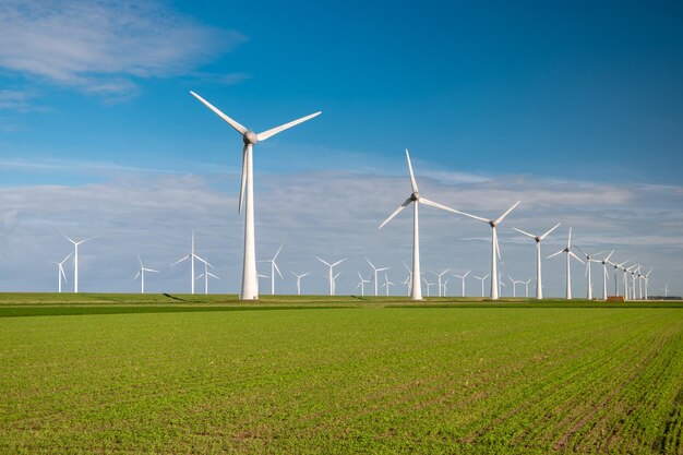 Windmills on field against sky