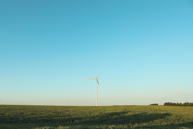 Windmills in field on blue sky background