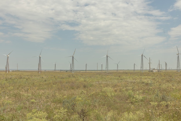 Windmills in the field. copy space