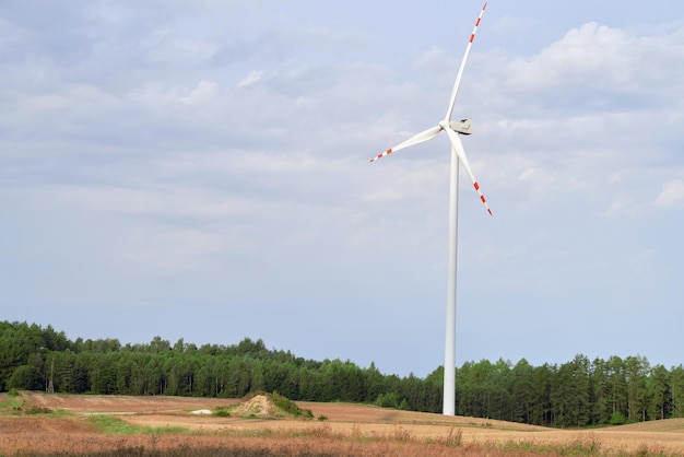 Ветряные мельницы на поле символизируют будущее устойчивой и возобновляемой энергетики.