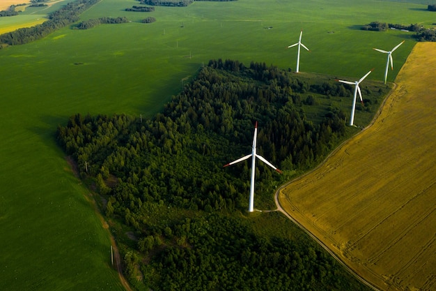 Windmills on the of forests and fields