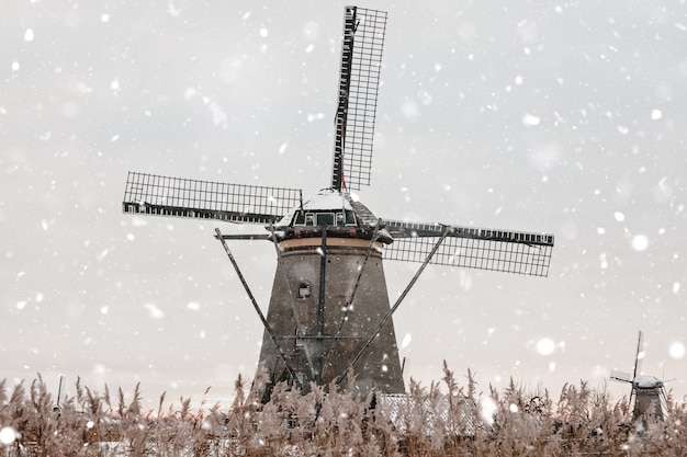 Mulini a vento a kinderdijk, paesi bassi in inverno