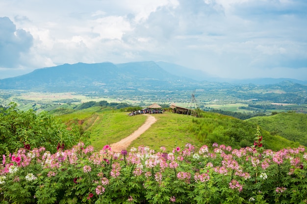 카오 코, 펫 차분 주, 태국에서 마운틴에 봄 꽃과 풍차 새로운 에너지