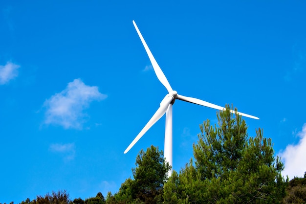 Windmills for the production of electric energy Wind farm of renewable, alternative and sustainable.