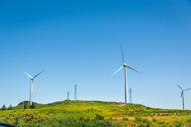 Windmills in the valley