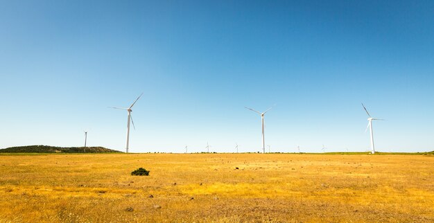 Windmills in the valley